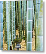 Bamboo Forest, Japan #1 Metal Print