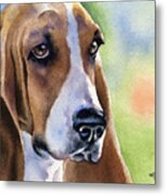 Basset Hound #5 Metal Print