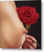 Beautiful Woman Breast And A Red Rose #1 Metal Print