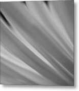 Black And White Mum Petals #1 Metal Print