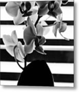 Black And White Orchid #1 Metal Print