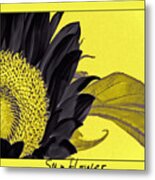 Black Sunflower #1 Metal Print