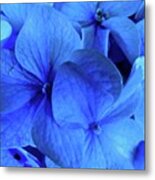 Blue #1 Metal Print