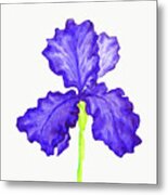 Blur Iris, Painting #1 Metal Print