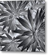 Botanical #1 Metal Print