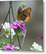 Butterflies Are Free #1 Metal Print