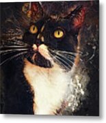 Cat Jagoda #1 Metal Print