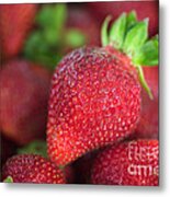 Chandler Strawberries #1 Metal Print