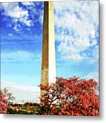 Cherry Blossoms At The Washington Monument #1 Metal Print