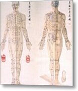 Chinese Chart Of Acupuncture Points #1 Metal Print
