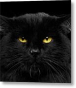 Close-up Black Cat With Yellow Eyes Metal Print