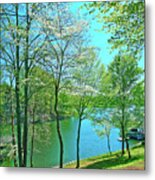 Cluster Of Dowood Trees Metal Print