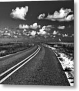 Cocodrie Highway #1 Metal Print