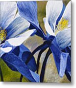 Colorado Columbines #2 Metal Print