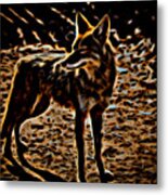 Coyote #1 Metal Print