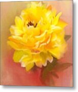 Dahlia #1 Metal Print