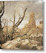 Desert Tree #1 Metal Print