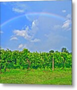 Double Rainbow Vineyard, Smith Mountain Lake #1 Metal Print