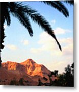 Ein Gedi Oasis Israel #1 Metal Print