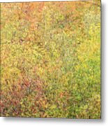 Fall Colors - Abstract Metal Print