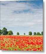 Field Of Poppies #1 Metal Print