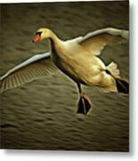 Flying Swan #1 Metal Print