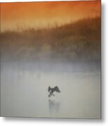 Foggy Landing #1 Metal Print