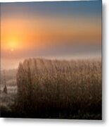 Foggy Sunrise Over Mn Cornfields #1 Metal Print