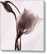 Grace In Simplicity #1 Metal Print