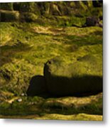 Green Shore #1 Metal Print