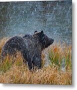 Grizzly In Falling Snow Metal Print