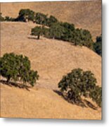 Hillside Oaks #1 Metal Print