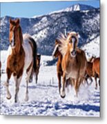 Horses Running In Snow #1 Metal Print