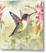 Hummingbird #1 Metal Print