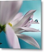 In Turquoise Company Metal Print