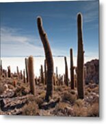 Incahuasi Island View With Giant Cacti And Salt Lake #1 Metal Print