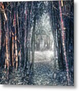Into The Unknown #1 Metal Print