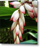 Jamaica Flora #1 Metal Print