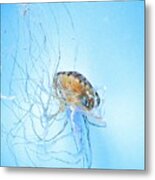 Jellyfish  #1 Metal Print