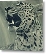 Leopard Portrait Metal Print