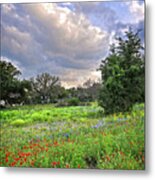 Heaven And Nature Sing Metal Print