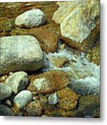 Life Of The Riverbed V2 Metal Print