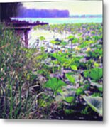 Lily Pads #2 Metal Print