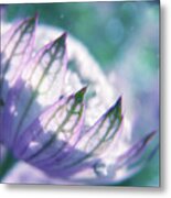 Lost In A Daydream #1 Metal Print