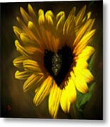 Love Sunflower #1 Metal Print