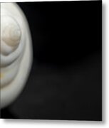 Macro Closeup Of A Seashell #2 Metal Print