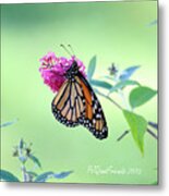 Monarch Butterfly #1 Metal Print