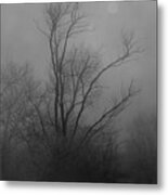 Nebelbild 13 - Fog Image 13 #1 Metal Print