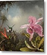 Orchid With Two Hummingbirds #1 Metal Print