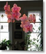 Orchids In The Parlor #1 Metal Print